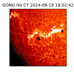 gong - 2024-08-19T18:02:42