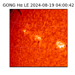 gong - 2024-08-19T04:00:42