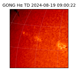 gong - 2024-08-19T09:00:22