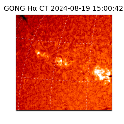 gong - 2024-08-19T15:00:42