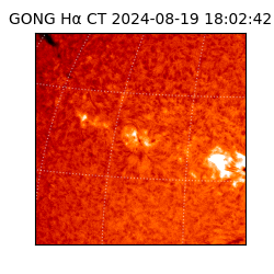 gong - 2024-08-19T18:02:42
