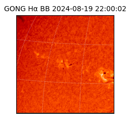 gong - 2024-08-19T22:00:02