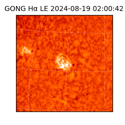 gong - 2024-08-19T02:00:42