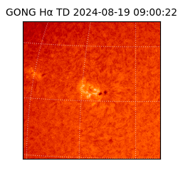 gong - 2024-08-19T09:00:22