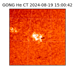 gong - 2024-08-19T15:00:42