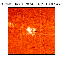 gong - 2024-08-19T18:02:42