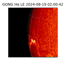 gong - 2024-08-19T02:00:42