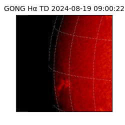 gong - 2024-08-19T09:00:22