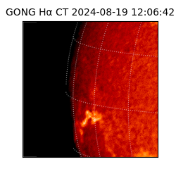 gong - 2024-08-19T12:06:42