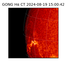 gong - 2024-08-19T15:00:42