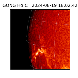 gong - 2024-08-19T18:02:42