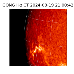 gong - 2024-08-19T21:00:42