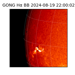 gong - 2024-08-19T22:00:02