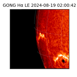 gong - 2024-08-19T02:00:42