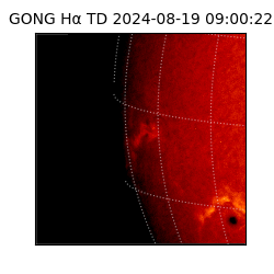 gong - 2024-08-19T09:00:22