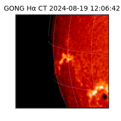 gong - 2024-08-19T12:06:42