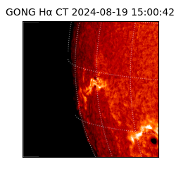 gong - 2024-08-19T15:00:42