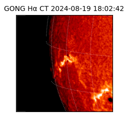 gong - 2024-08-19T18:02:42