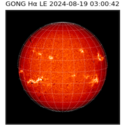 gong - 2024-08-19T03:00:42