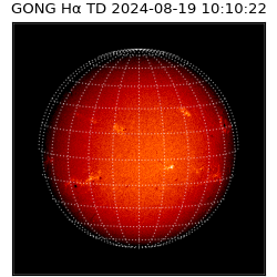 gong - 2024-08-19T10:10:22