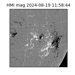 shmi - 2024-08-19T11:58:44