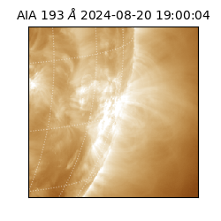 saia - 2024-08-20T19:00:04.843000