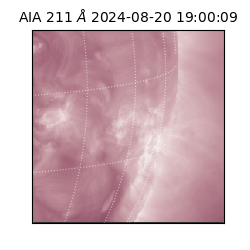 saia - 2024-08-20T19:00:09.626000