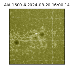 saia - 2024-08-20T16:00:14.126000
