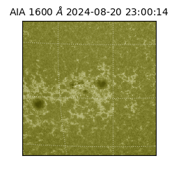 saia - 2024-08-20T23:00:14.132000