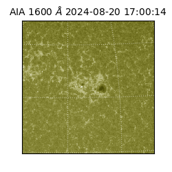 saia - 2024-08-20T17:00:14.126000