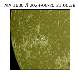 saia - 2024-08-20T21:00:38.132000