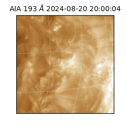 saia - 2024-08-20T20:00:04.843000