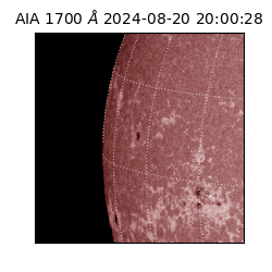 saia - 2024-08-20T20:00:28.717000