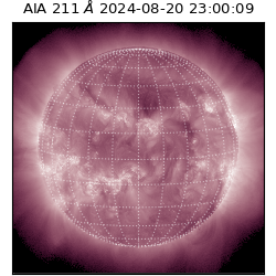 saia - 2024-08-20T23:00:09.626000