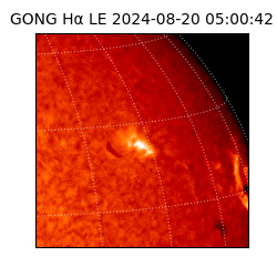 gong - 2024-08-20T05:00:42