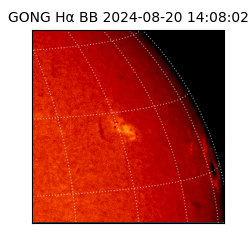 gong - 2024-08-20T14:08:02