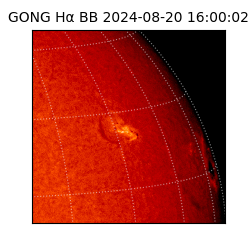 gong - 2024-08-20T16:00:02