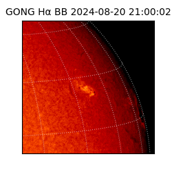gong - 2024-08-20T21:00:02