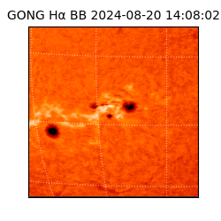 gong - 2024-08-20T14:08:02