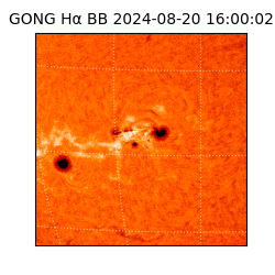 gong - 2024-08-20T16:00:02