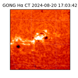 gong - 2024-08-20T17:03:42