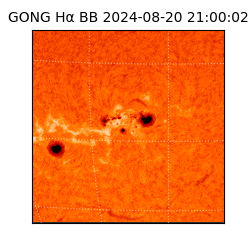 gong - 2024-08-20T21:00:02