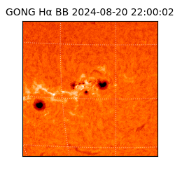 gong - 2024-08-20T22:00:02