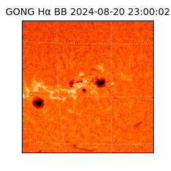 gong - 2024-08-20T23:00:02