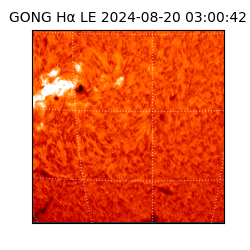 gong - 2024-08-20T03:00:42