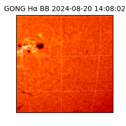 gong - 2024-08-20T14:08:02