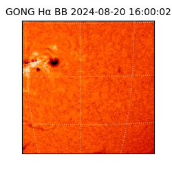 gong - 2024-08-20T16:00:02