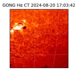 gong - 2024-08-20T17:03:42