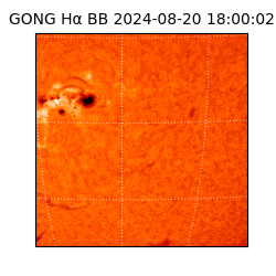 gong - 2024-08-20T18:00:02