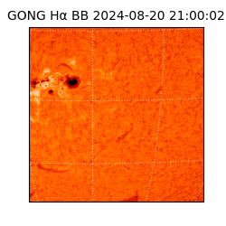 gong - 2024-08-20T21:00:02